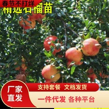 һ�����lʯ������ͻ��˹ܛ��ʯ��������ͥԺ�����ش����o����