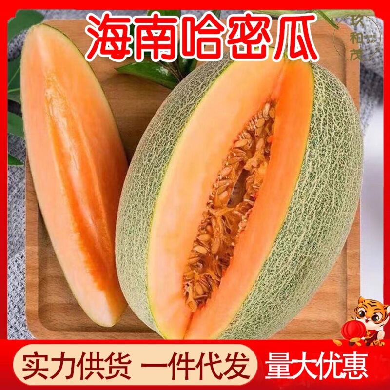 Hami Melon 4.5kg Whole Box, Xizhou Net-Patterned Melon, Seasonal Fresh Fruit, Wholesale, Free Shipping, First Harvest Sweet Melon