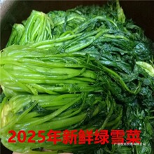 2024�|̨�Gѩ���̲˴��b�Gɫѩ��tޮ���r��������u������Ⱥľ