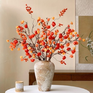 ���\�����滨�ٻ��[�O�����ɻ��������Ҿ��b�ˇ�[��ֱ�����l