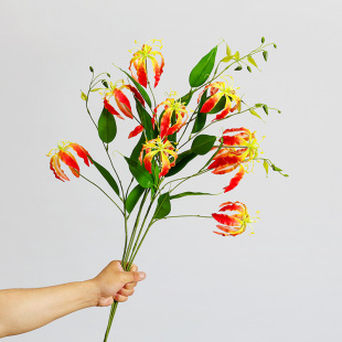 �羳���滨���m����ٺϻ��ɻ������Ҿ��b�ܛ�b��ˇ�廨�Ĕz����