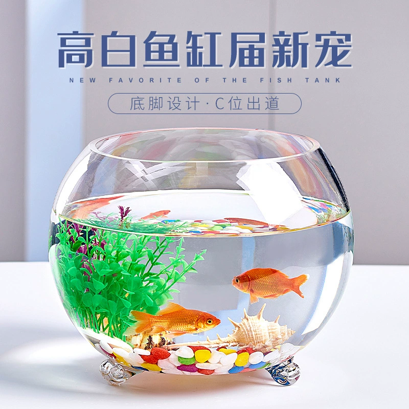 Стеклянные круглые утолщенные аквариум с гидропонными золотыми рыбками с ножками Настольный маленький мини-черепаха цилиндр с шариками гидропонное растение аквариум