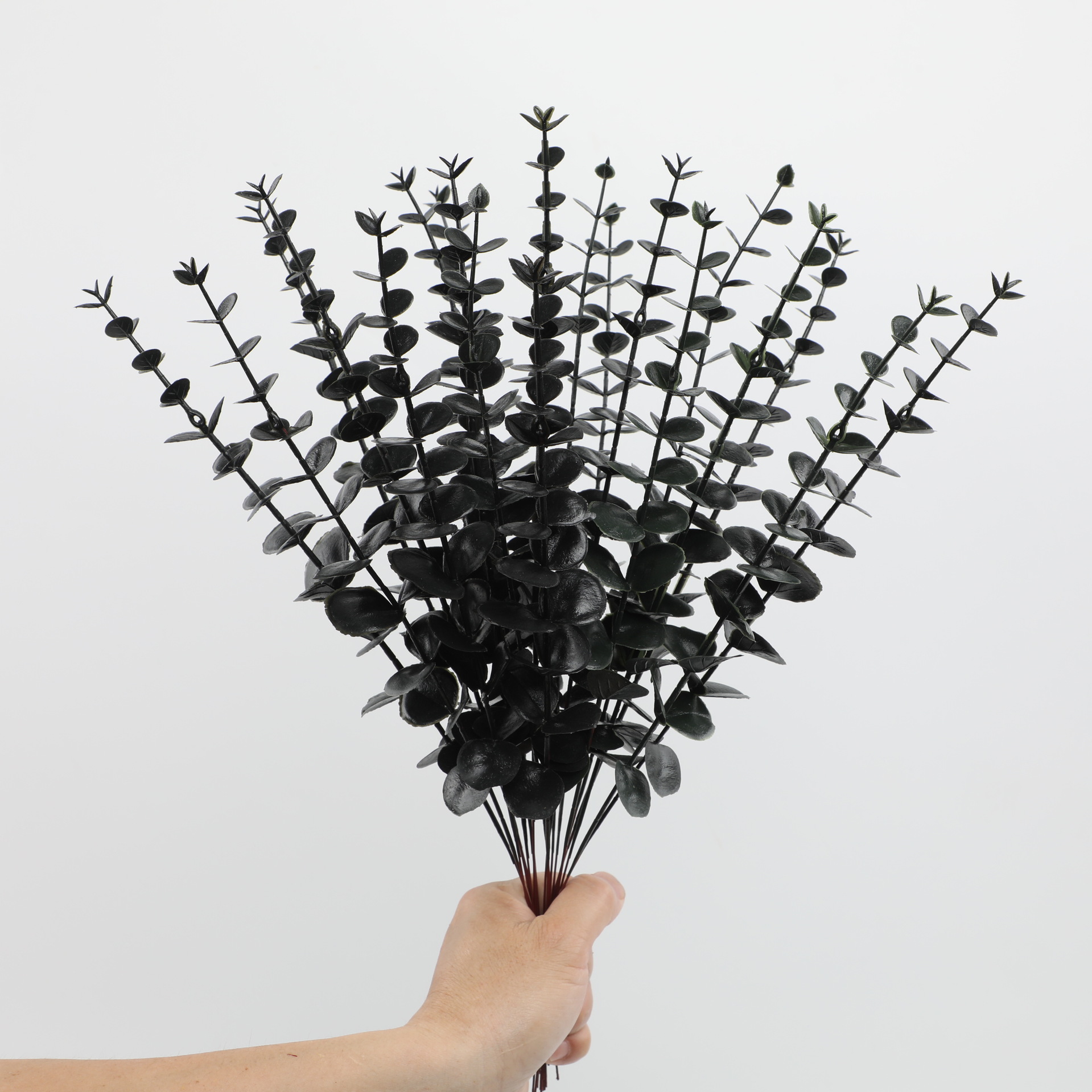 블랙싱글 유칼립투스 016