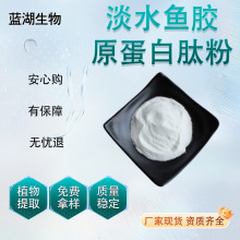 淡水鱼胶原蛋白肽粉小分子活性肽粉食品级固体饮料饮品工厂现货
