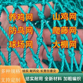 其他塑料网;防虫网;农业塑料网