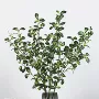 婚庆仿真家居树枝花材
