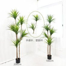 ���l���愦���F��ֲ�� �����b������m�Gֲ�٘� ���U��Ѫ�����l