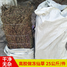福建仙草凉粉草25kg/袋凉茶饮料原料现货无土做冻凉粉代发天然