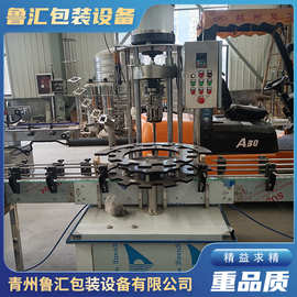 全自动旋盖机 四轮锁盖机设备 运行平稳 直流式液体分装封盖机械
