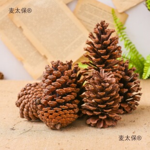 ���ɹ����ɻ��Ʒ�ֹ�diy�����b���[���׃��@���g�[�O��̫��