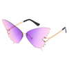 Capacious trend sunglasses, glasses solar-powered, gradient, European style