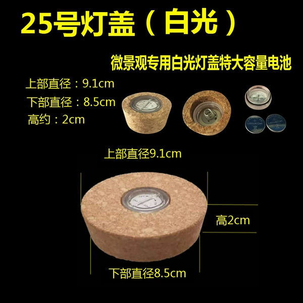 No. 25 lamp cover
