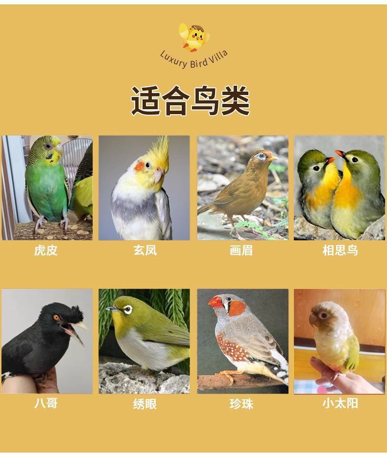 0557ad63-8325-4b8e-861e-86a2cefcf0e8.jpe