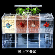 创意桌面斗鱼缸多格亚克力高清生混养带过滤小型四格生态小鱼缸灯