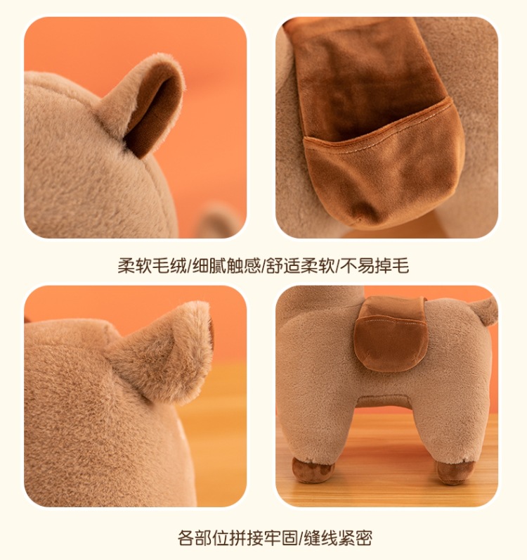 羊驼 (20).jpg