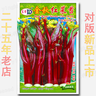 �ļ��t��̦�N�Ӽtɫ��޷�׷N�����߲˷N�ӹ�˾���l�֗l���Ĳ��ѷN