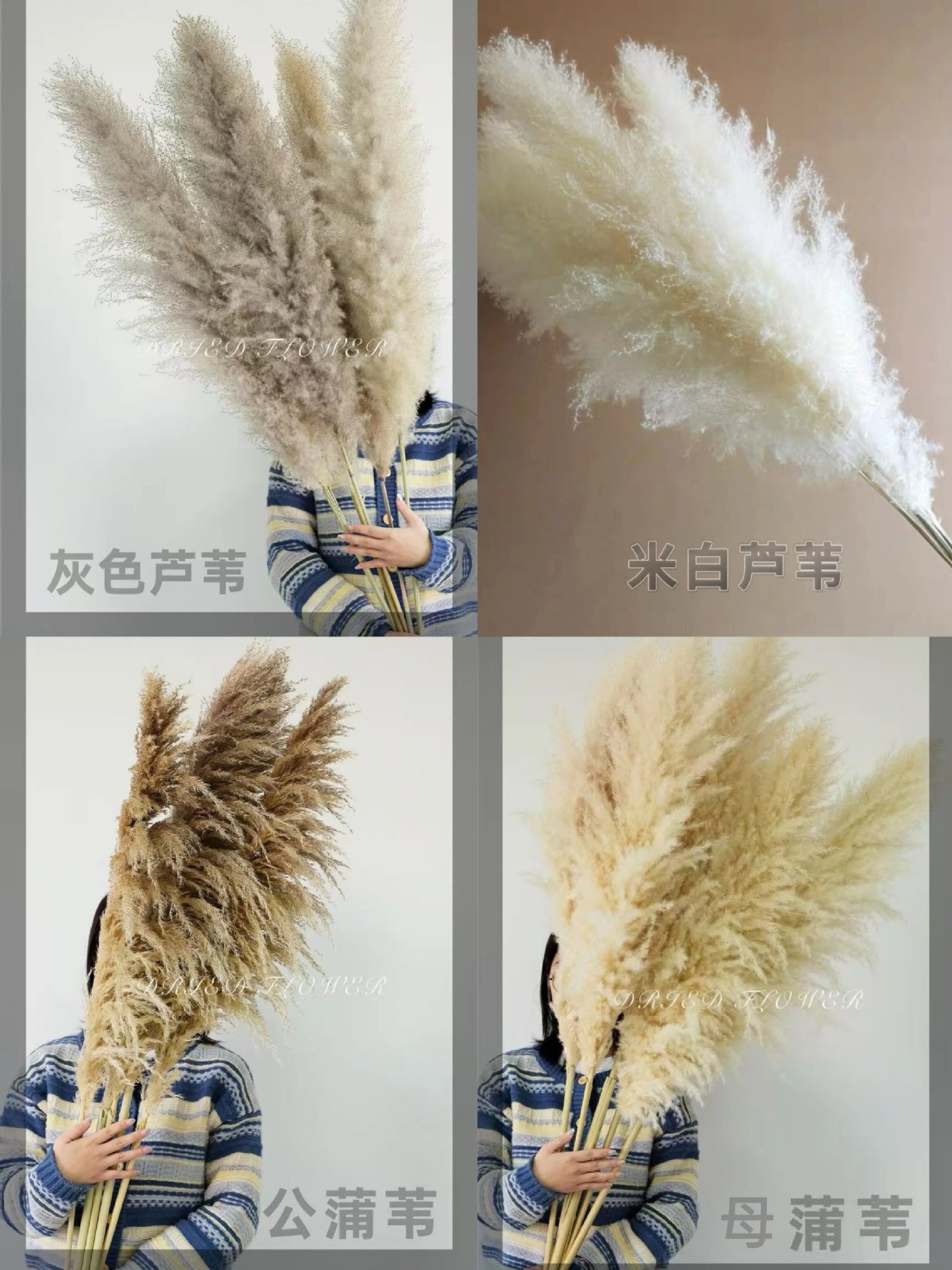 0c437f33c68c37290f70c4930d4124