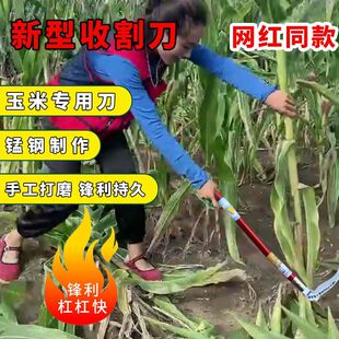 ��������r�ù����i�砵���ݵ��r�������ո���ò��P�砵�