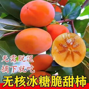 �V�����Ә���̫��������޽ӟo���������Ϸ�����ͥԺ�������~�ͺ�
