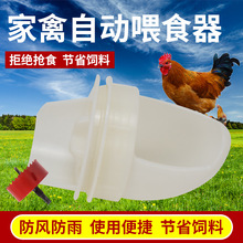 新型自动喂料器鸡鸭鹅下料器喂鸡料槽饲料桶加厚料桶家禽喂食器