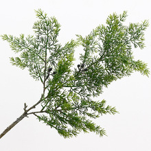 �°���֦ӭ���������ɷ���t�����~�쾰�°���֦�b��~�_�h�����