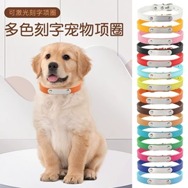 宠物项圈;狗狗牵引;猫猫牵引