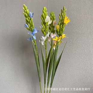 滨     ҹɫGֲͥԺ̨