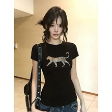 ��ʽ���÷籪��ӡ������T��Ů�ļ��¿���������С�����������³�