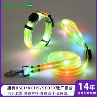 跨境定制宠物项圈发光LED狗狗项圈小中大型犬夜间出行发亮牵引绳