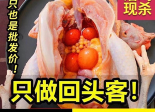 ����S��朡��F������ɢ�B����ĸ�u���u�ߵ��u���u���u���u