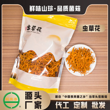 【工厂】虫草花250克北虫草食用菌菇干货蛹虫草孢头厂家批发OEM
