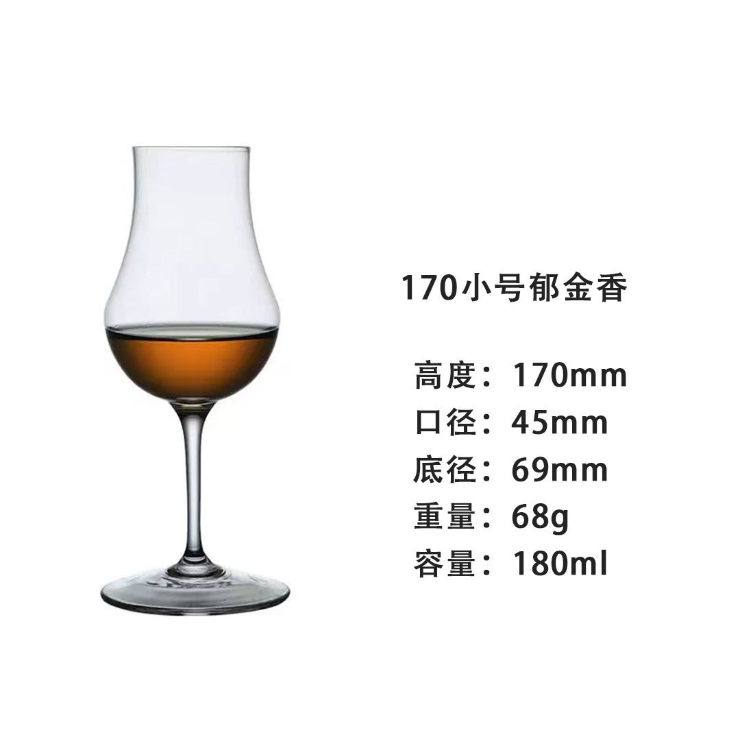 170 트럼펫 튤립