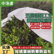 ���︲�w���䲼���Ә��̷ָ�˪�� ��6.4��͸��������ظ��ٷ���