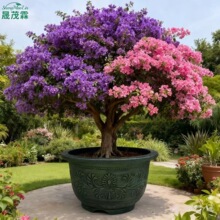 跨境大码加厚树脂户外种树盆庭院铁树盆景盆特大塑料花盆生产批发