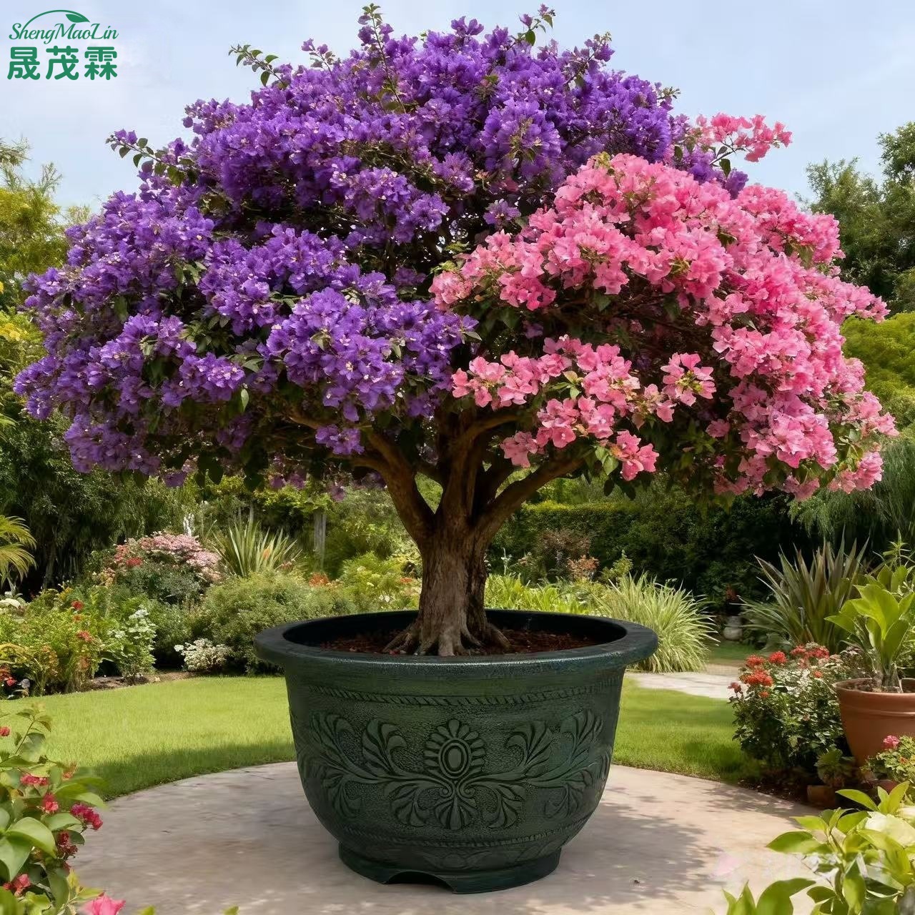 跨境大码加厚树脂户外种树盆庭院铁树盆景盆特大塑料花盆生产批发