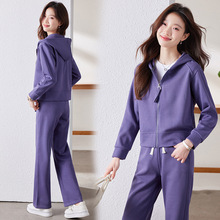 洺_Bñ\bŮ2025¿eܲ͸ɼ