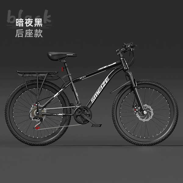 Black shock-absorbing bike spokes disc brake