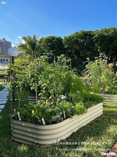 ֲ���@�� һ�ײˈ@���ٷNֲ��˴��߲˷Nֲ�������ͥԺ��