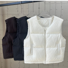 2025¿Ůʿ̿qIӺqRוrn汳