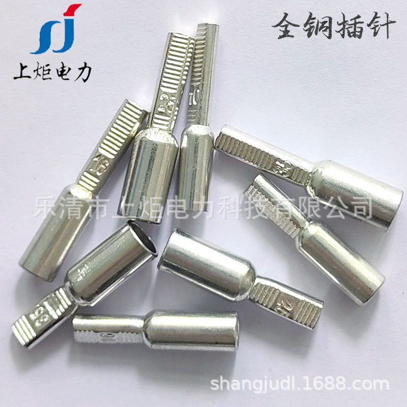 DTA-10全铜镀锡插针端子 DTA系列电能表空开断路器用铜鼻子铜终端