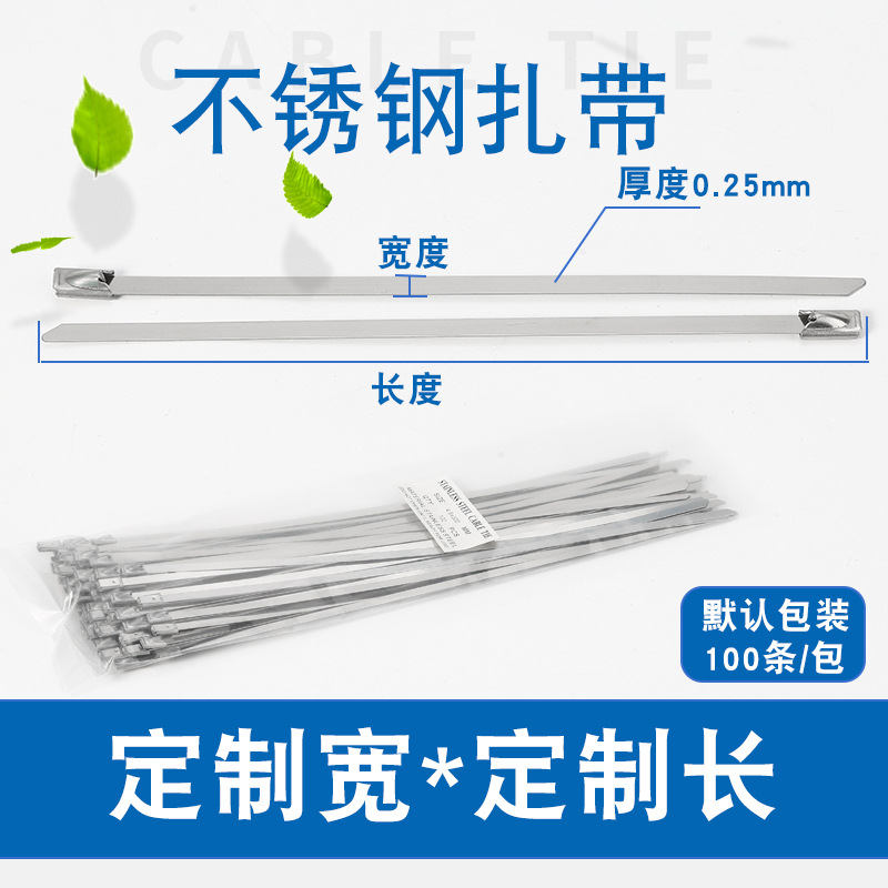 Barra de acero inoxidable tipo autobloqueo de bola de acero inoxidable 201 material acero inoxidable 4,6*200mm bridas de puente de cable de metal