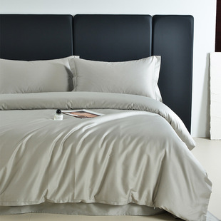 Hotel Hotel Cotton Four-piece Washable Encrypted Thickened Satin Home Accommodation Dormitory Kit