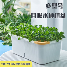 大加厚阳台种菜盆厂家批发方形塑料花盆室内蔬菜种植箱家用蔬果盆