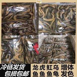 Free Shipping Frozen Loach, Single Frozen Shrimp, River Shrimp, Wheat Ear Fish Food, Fresh Ornamental Fish, Dragon Fish, Tiger Fish, Stingray and Turtle Food