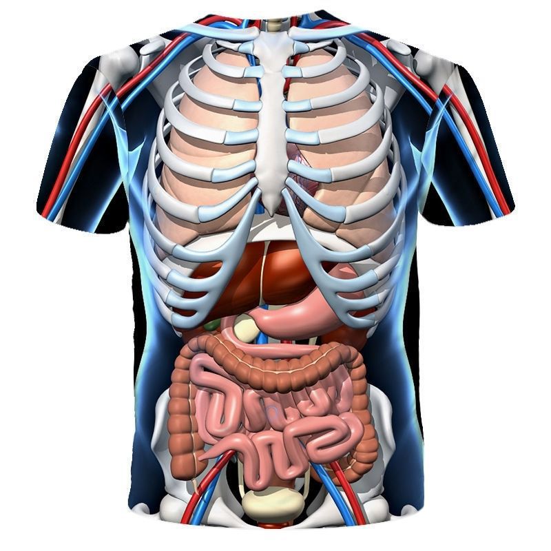 欧米の越境器官の骨格図の新型の3dデジタルのプリントの丸首のtシャツのゆったりしている大きいサイズの男性のカジュアルな半袖