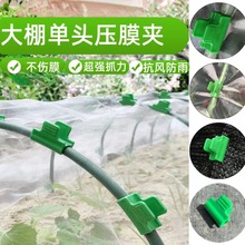 ��Ĥ�A�ӿ羳���ұ�Ĥ�̶����������β�Aů�����w�ܴ��Ĥ����