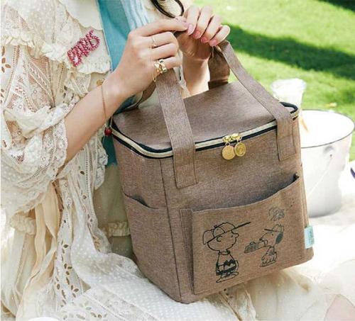 Daily miscellaneous appendix high-quality cationic Oxford cloth outing thermal insulation cold small bag