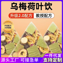 ��÷ɽ髺��~���÷��������÷��ԭ���ϰ���÷���~�÷����~��