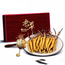 Ұx؛YbͶYaB^ͶYຣخa