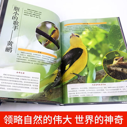 Exploring All Things: A Complete 12-Volume Hardcover Edition with Realistic, Ultra-High-Resolution Images—The Youth and Children's Encyclopedia & Science Book